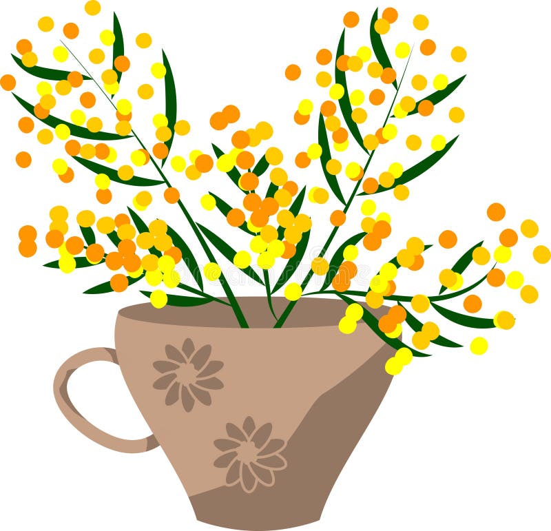 Kopp och blombukett av mimosa-grengrenvektor vektor illustrationer