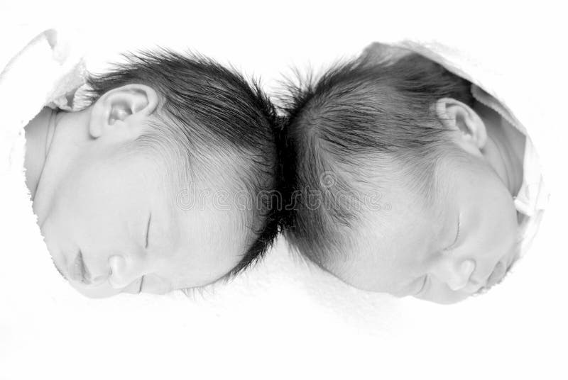 Two twin babies photographed as joined at heads. Two twin babies photographed as joined at heads