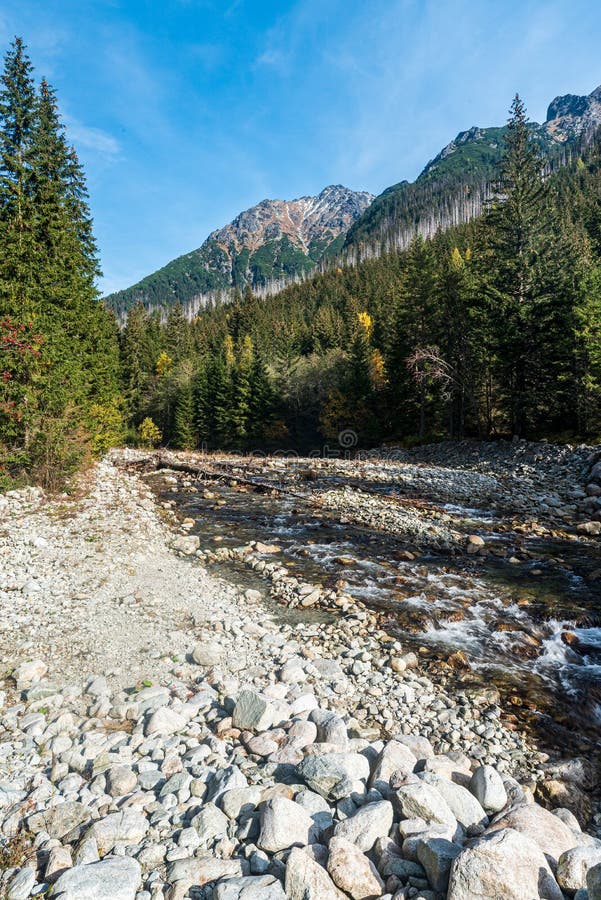 Údolie rieka, les a vrcholy okolo v jeseni vysoký tatry hory v slovensko.