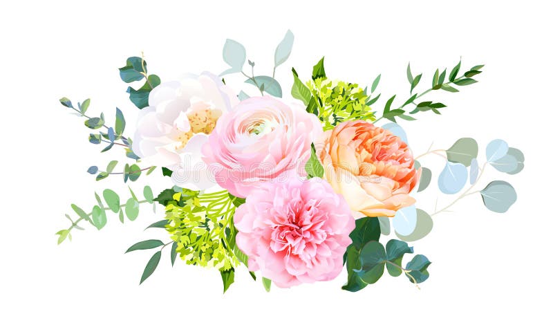 Koralljulietträdgården steg, den rosa ranunculusen, pionen, den gröna vanliga hortensian, eukalyptus royaltyfri illustrationer