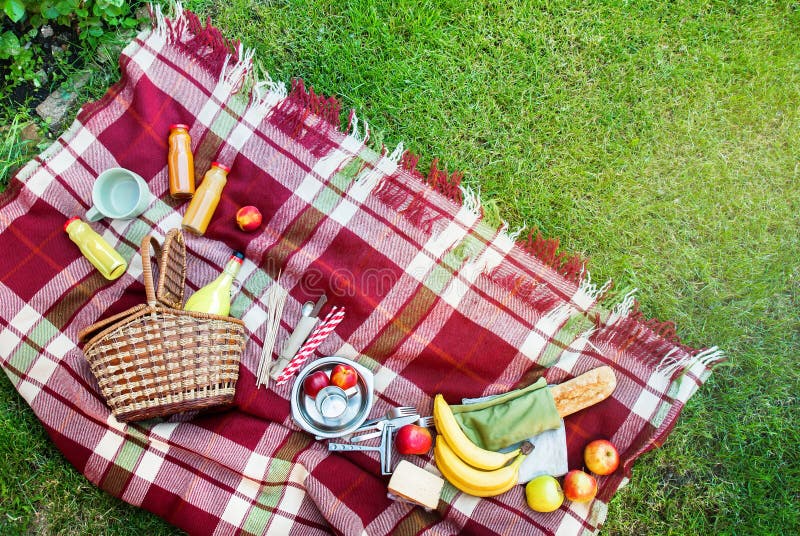 Korb-Einstellungs-Lebensmittel-Frucht-kariertes Plaid-Picknick-Gras lizenzfreie stockfotos