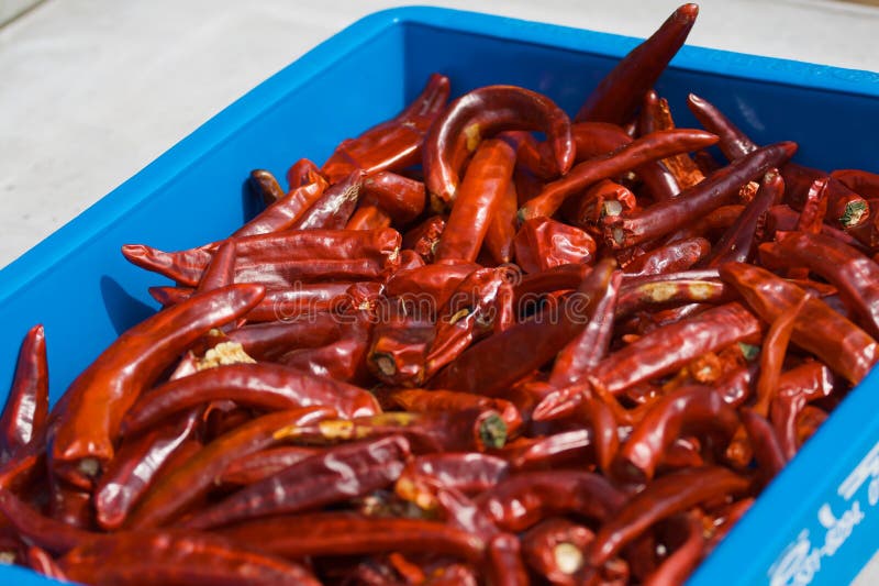 Korean Peppers stock image. Image of pyonsan, chilli, food 6441775