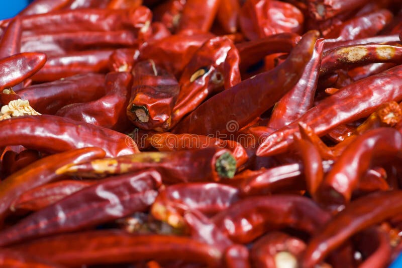 Korean Peppers stock image. Image of kimchi, chikso, chile 6441777