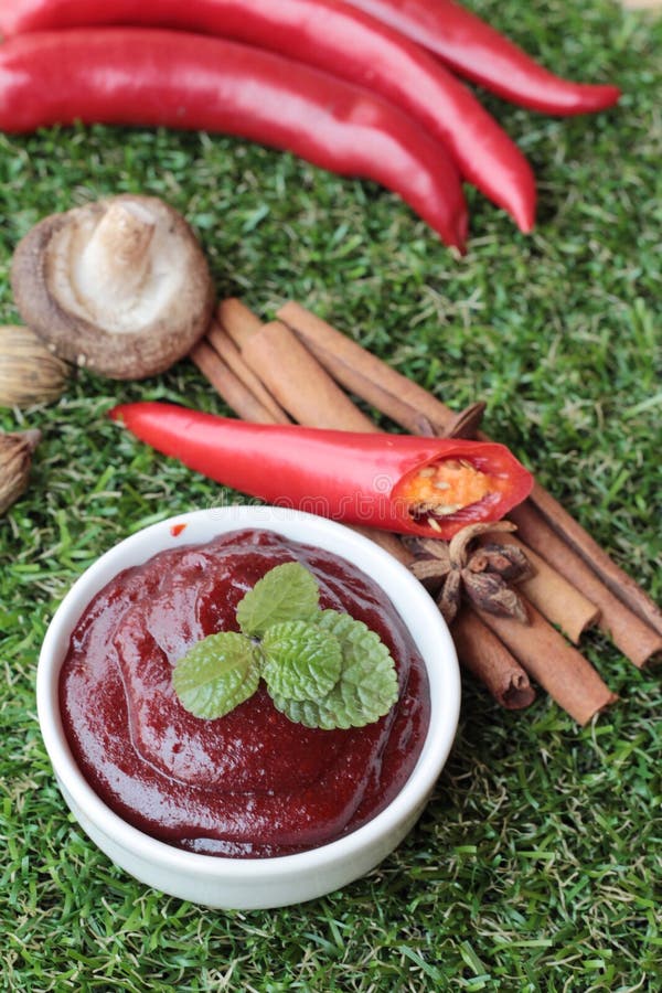 Korean Red Pepper Gochujang for Cooking. Stock Image Image of soybean