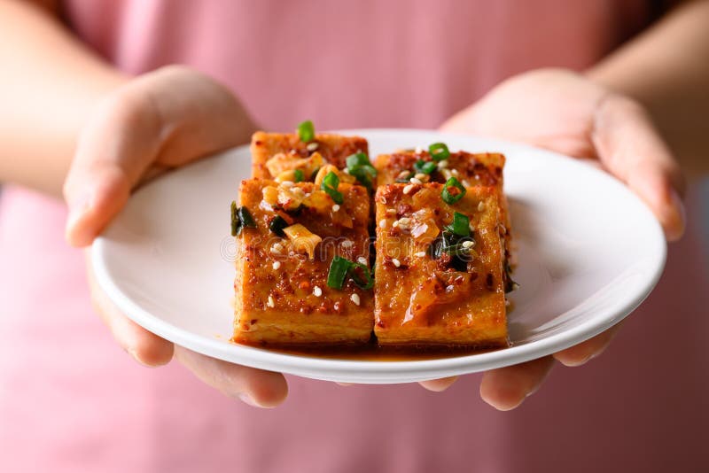 Korean Side Dish, Spicy Braised Tofu Dubu Jorim Stock Photo - Image of