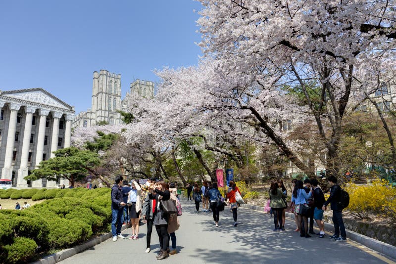Korean university campus editorial image. Image of building 30700785