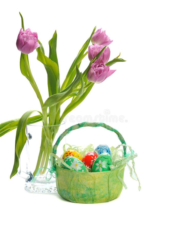 korgeaster ägg arkivbild korgeaster ägg arkivbild