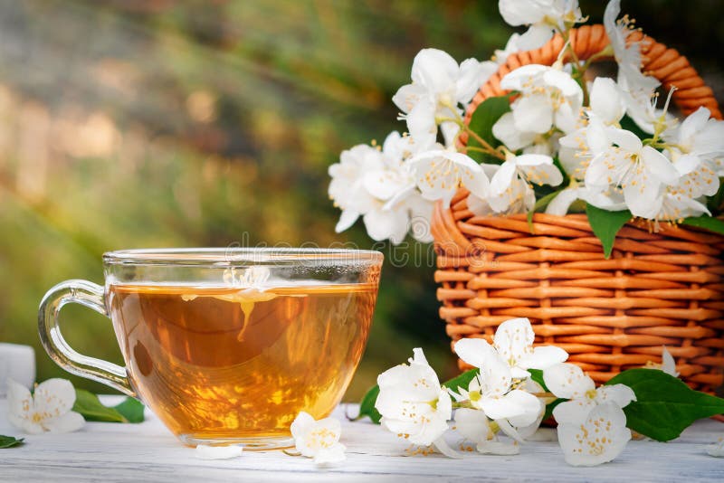 Korgen med blommor av philadelphusen någonstans kallade jasmin eller den falska apelsinen och koppen med doftande jasminte på ett royaltyfri fotografi Korgen med blommor av philadelphusen någonstans kallade jasmin eller den falska apelsinen och koppen med doftande jasminte på ett royaltyfri fotografi