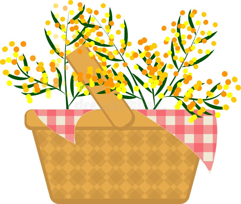 Korgen och blombuketten av mimosa-grenvektor royaltyfri illustrationer