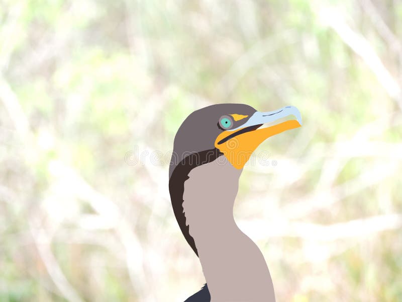 Kormoran-Digital-Illustration auf naturalistischem Hintergrund - Florida-Everglades-Nationalpark-wild lebende Tiere stock abbildung Kormoran-Digital-Illustration auf naturalistischem Hintergrund - Florida-Everglades-Nationalpark-wild lebende Tiere stock abbildung