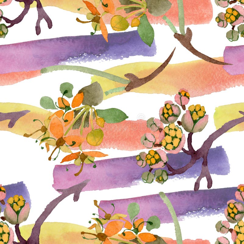 Kornus mas florale botanische bloemen. Achtergrondillustratieset voor waterkleur. Naadloos achtergrondpatroon vector illustratie Kornus mas florale botanische bloemen. Achtergrondillustratieset voor waterkleur. Naadloos achtergrondpatroon vector illustratie
