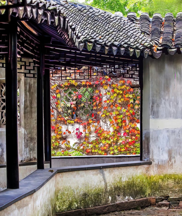 Korredor fönsterkam, blad från trädgårdsödla administratörer suzhou china arkivbilder