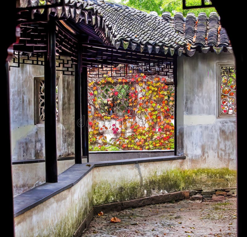 Korredor fönsterkam, blad från trädgårdsödla administratörer suzhou china royaltyfria foton