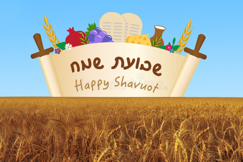 Happy Shavuot greeting card rising above wheat filed for the Jewish holiday of shavuot image illustration. Happy Shavuot greeting card rising above wheat filed for the Jewish holiday of shavuot image illustration