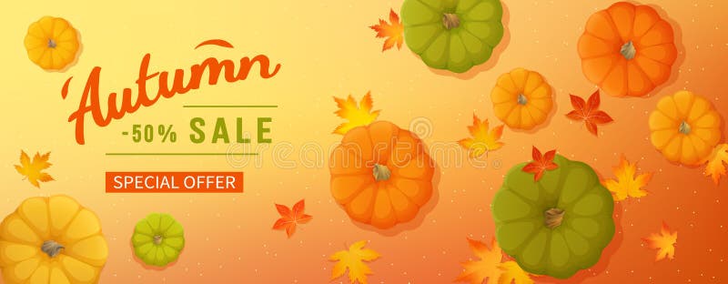 Korting, verkoop in de herfst Horizontale bannervlieger met pompoenen, esdoornbladeren op een gekleurde achtergrond Speciale seiz vector illustratie Korting, verkoop in de herfst Horizontale bannervlieger met pompoenen, esdoornbladeren op een gekleurde achtergrond Speciale seiz vector illustratie
