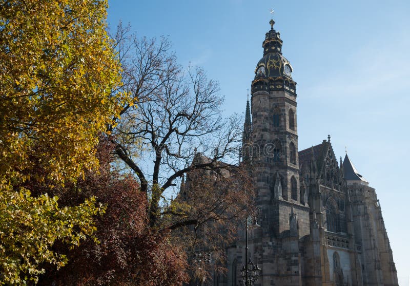 Kosice Cathedral with yellow tree in foreground