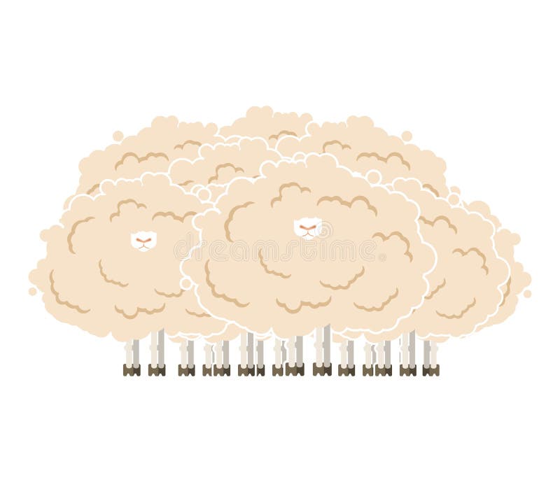 Hairy sheep flock. Shaggy lamb herd. vector illustration. Hairy sheep flock. Shaggy lamb herd. vector illustration.