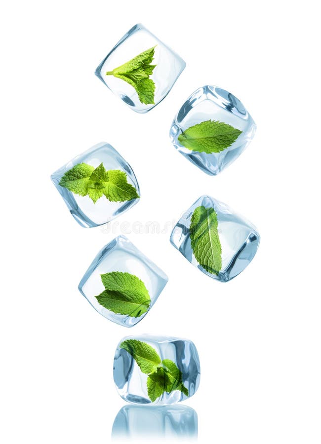 Kostki lodu z zielonymi nowymi liśćmi
