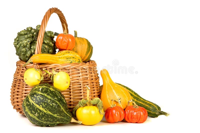 koszykowy dziękczynienie obraz stock koszykowy dziękczynienie obraz stock