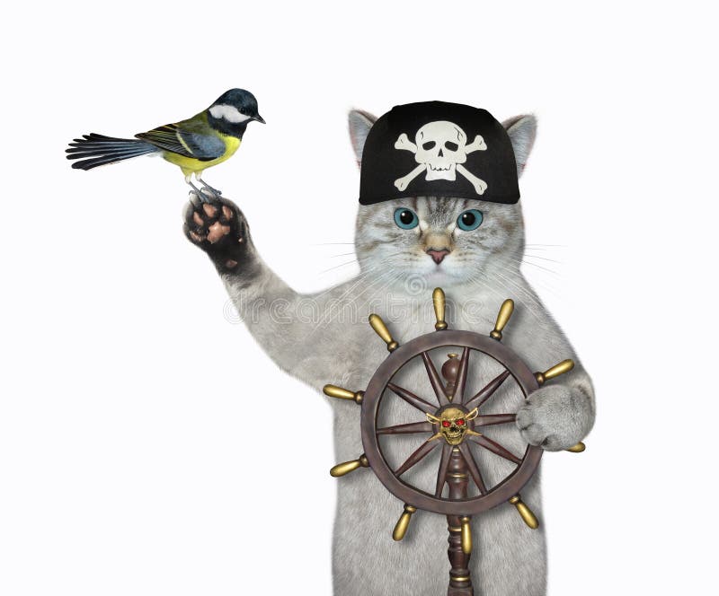 An ashen cat in a pirate bandana is at a helm of a ship. White background. Isolated. An ashen cat in a pirate bandana is at a helm of a ship. White background. Isolated