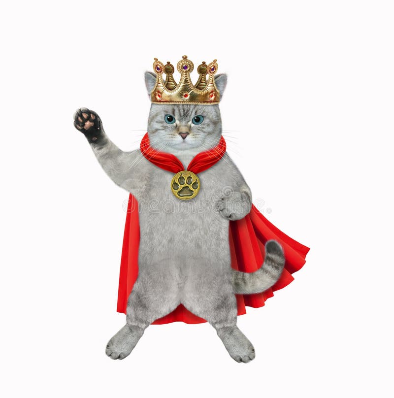 An ashen cat wears a gold crown and a red cloak. White background. Isolated. An ashen cat wears a gold crown and a red cloak. White background. Isolated