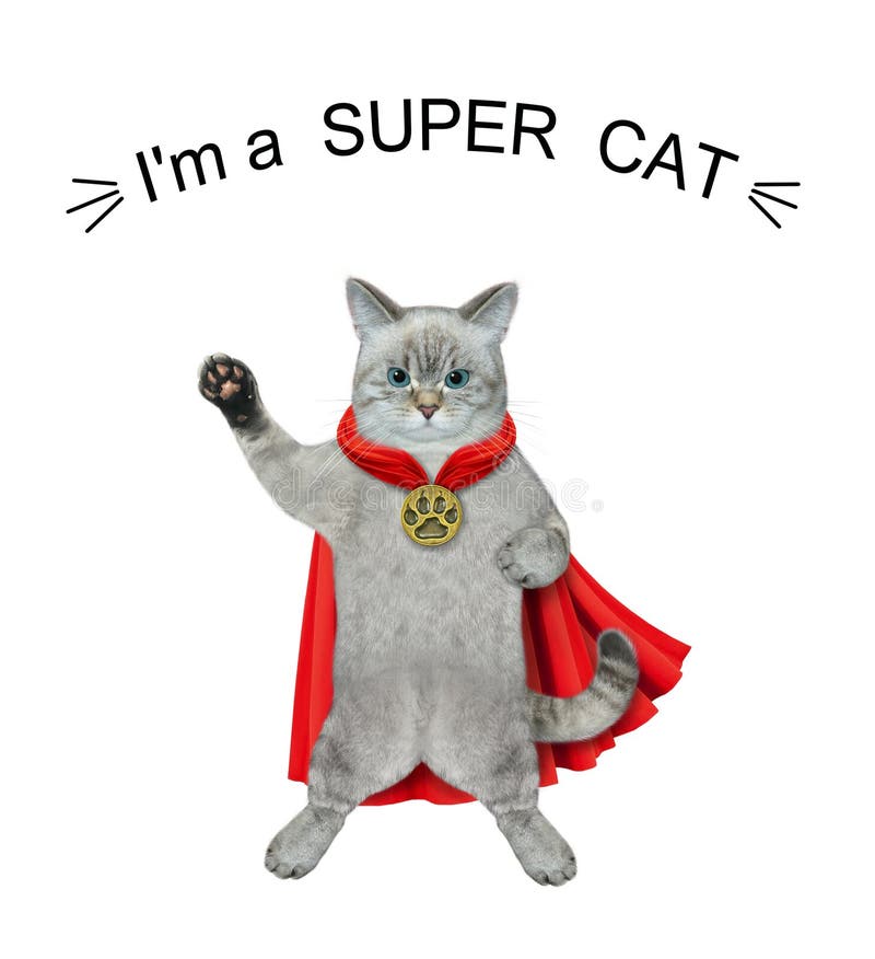 An ashen cat wears a red cloak. I`m a super cat. White background. Isolated. An ashen cat wears a red cloak. I`m a super cat. White background. Isolated