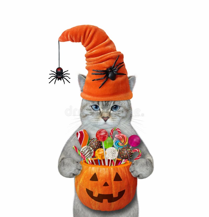 An ashen cat in a hat with spiders holds a pumpkin bucket with sweets for Halloween. White background. Isolated. An ashen cat in a hat with spiders holds a pumpkin bucket with sweets for Halloween. White background. Isolated