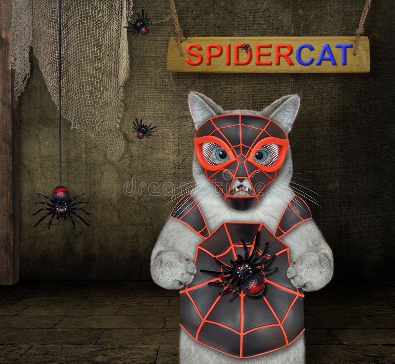 An ashen cat is wearing a spider costume in a barn. Spidercat. An ashen cat is wearing a spider costume in a barn. Spidercat