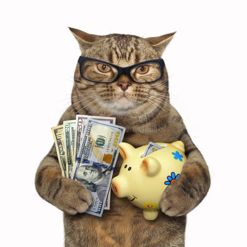 Kot z prosiątko bankiem dla dolarów