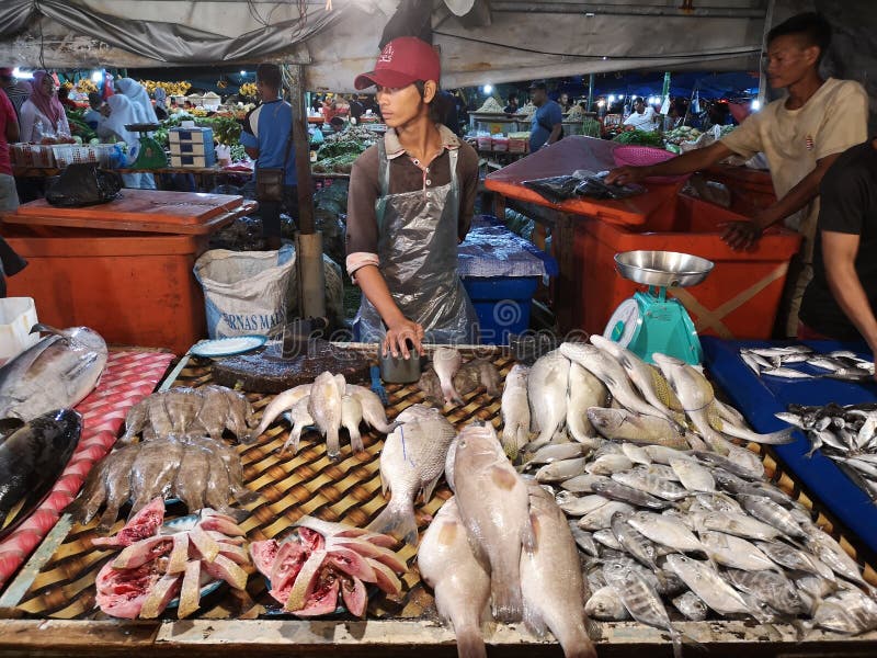 Kota Kinabalu Night Fish Markets Sabah Malaysia Editorial ...