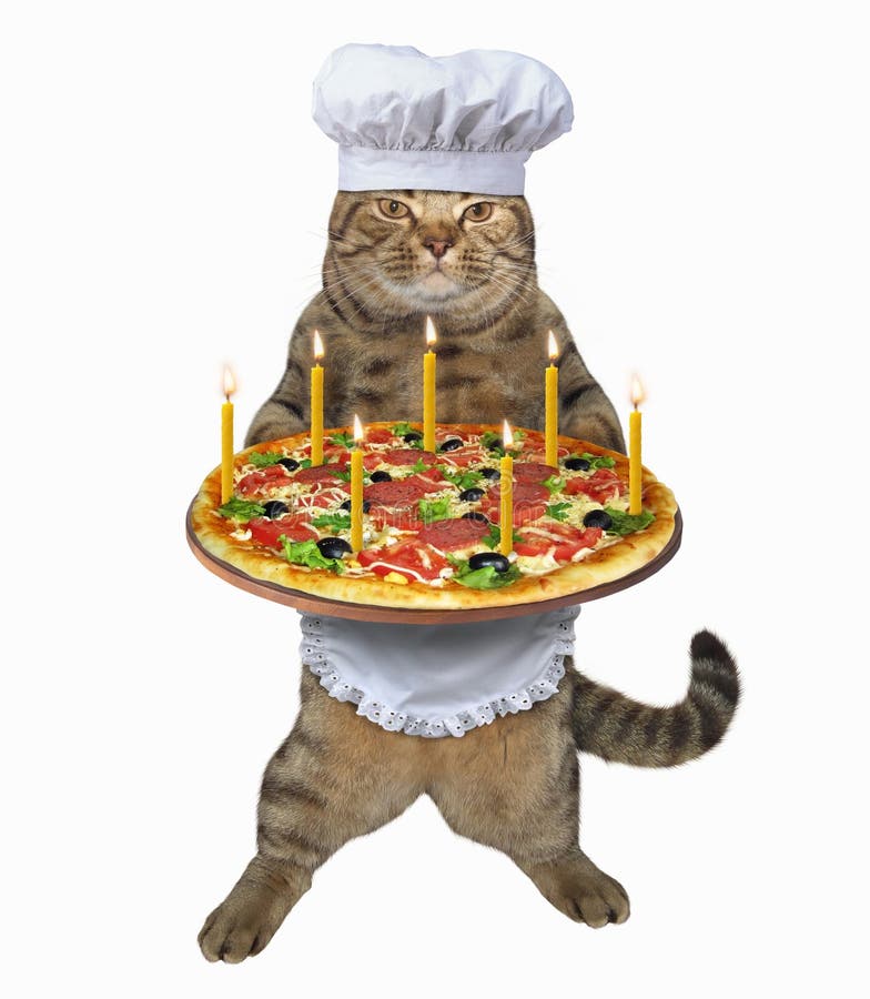 The cat chef holds a holiday pizza with candles. White background. The cat chef holds a holiday pizza with candles. White background.