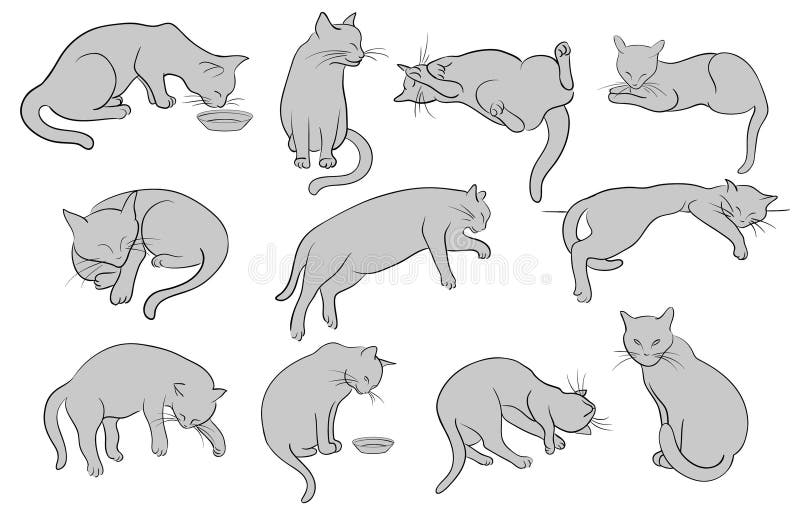 Koty wykładają set sylwetkę ilustracji