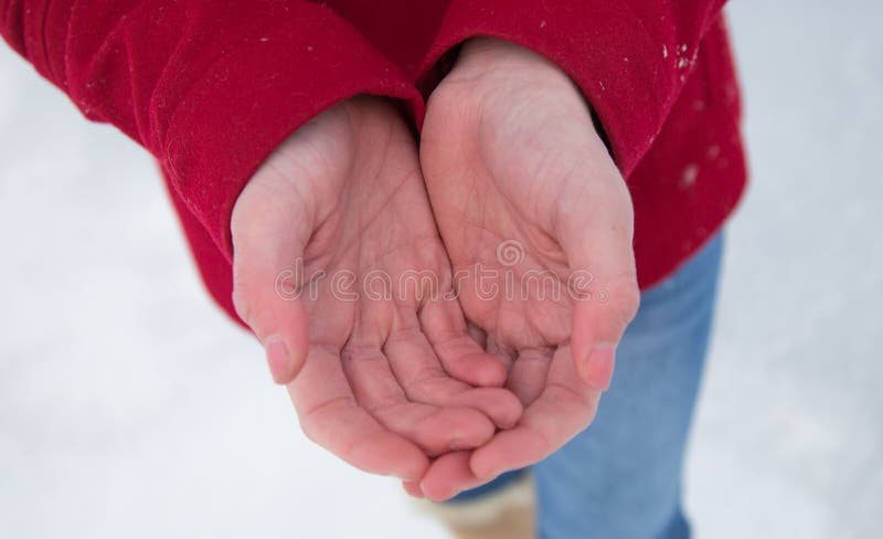 Koude Handen stock foto. of winter, lichaam, mensen 66868288