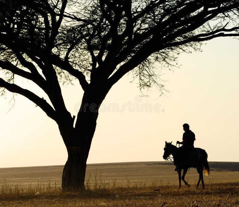 Horse rider on his horse at sunset. Horse rider on his horse at sunset