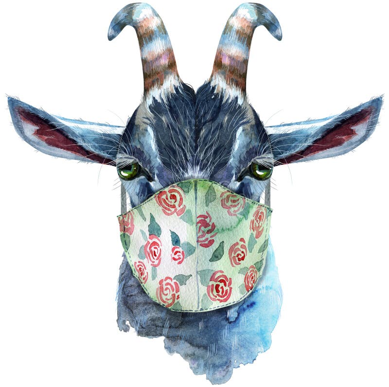 Goat head in protective mask. Horoscope character isolated on white background. Goat watercolor illustration. Goat head in protective mask. Horoscope character isolated on white background. Goat watercolor illustration