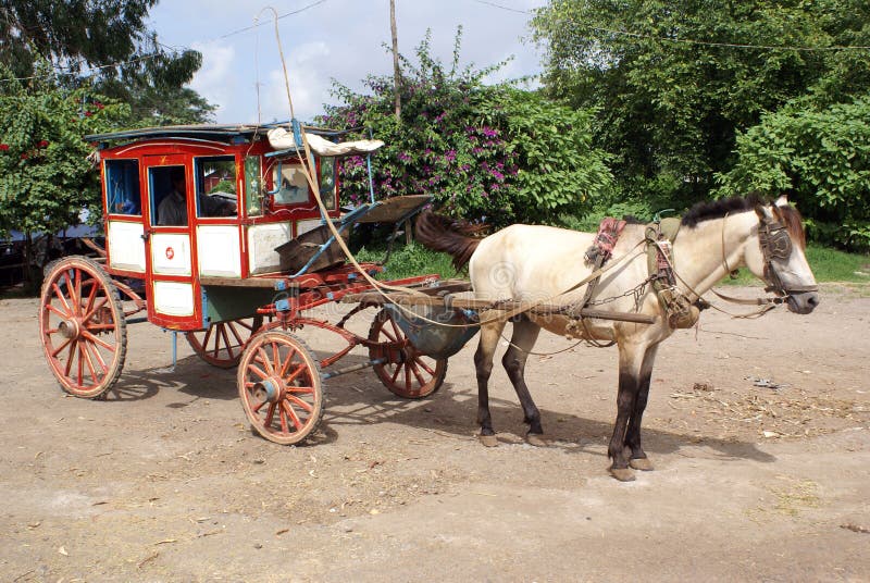 Koń cart obrazy royalty free