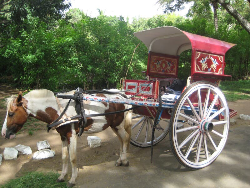 Końska fura przy Mysore obrazy stock