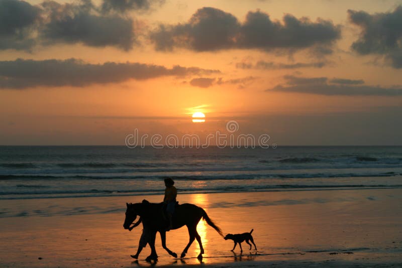 An idyllic scene of a person riding a horse as a dog and a friend walk alongside on a beatufiul beach. Silhouetted by the setting sun over the sea. An idyllic scene of a person riding a horse as a dog and a friend walk alongside on a beatufiul beach. Silhouetted by the setting sun over the sea.