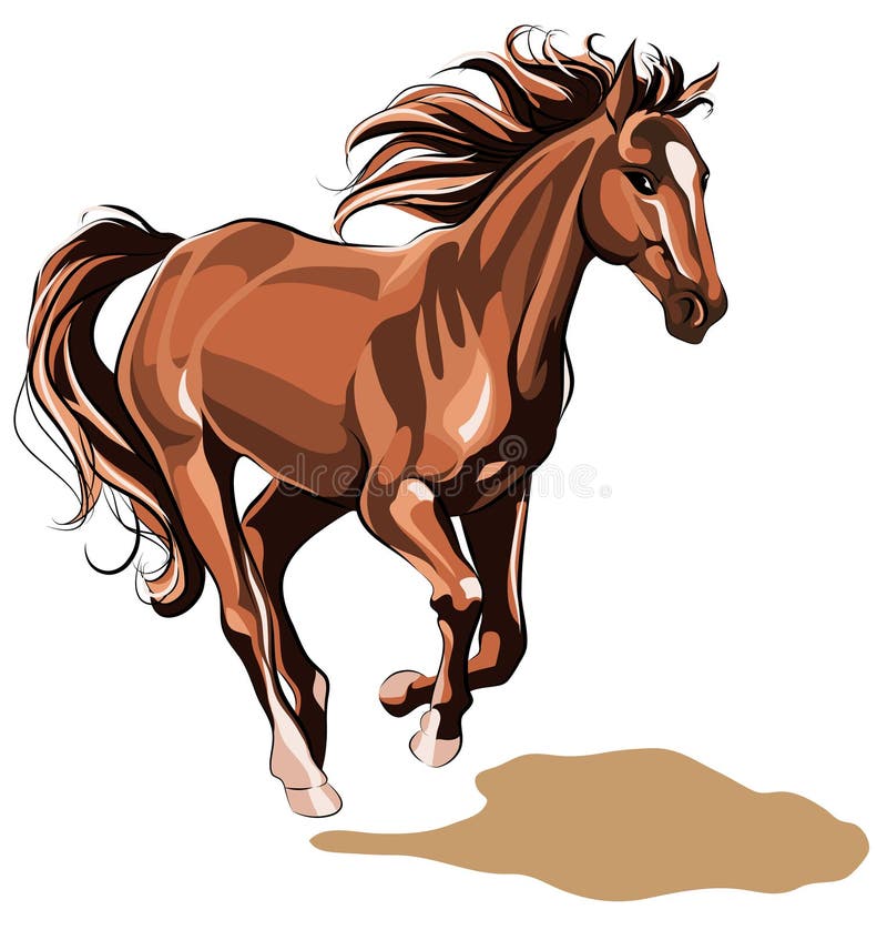 Koński bieg ilustracji