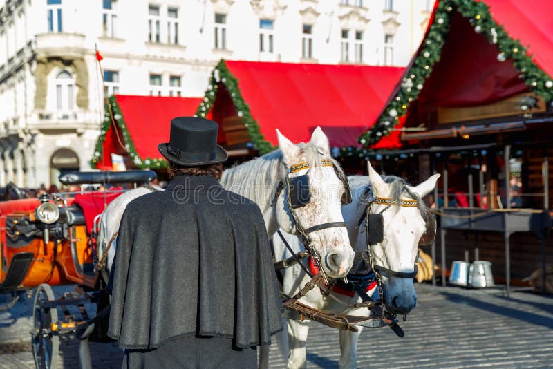 Koński fracht na Starym rynku Praga zdjęcie stock Koński fracht na Starym rynku Praga zdjęcie stock
