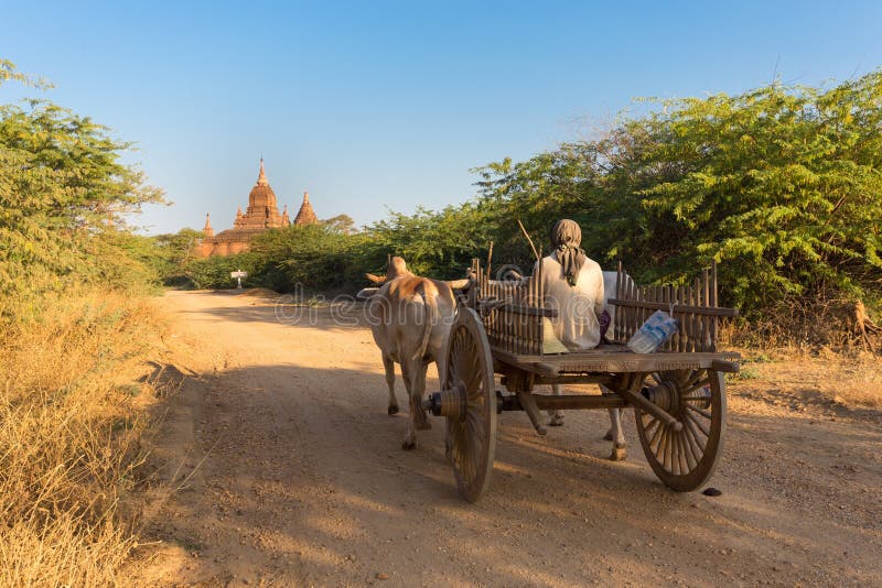Koński fura bieg w Bagan równinie fotografia stock