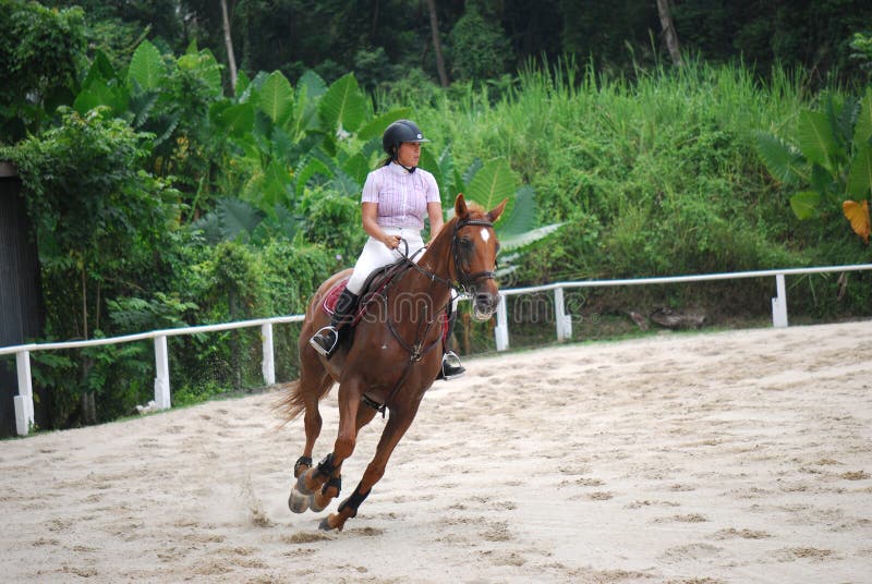 A horse rider in action at the Singapore Bukit Timah Saddle Club. A horse rider in action at the Singapore Bukit Timah Saddle Club.