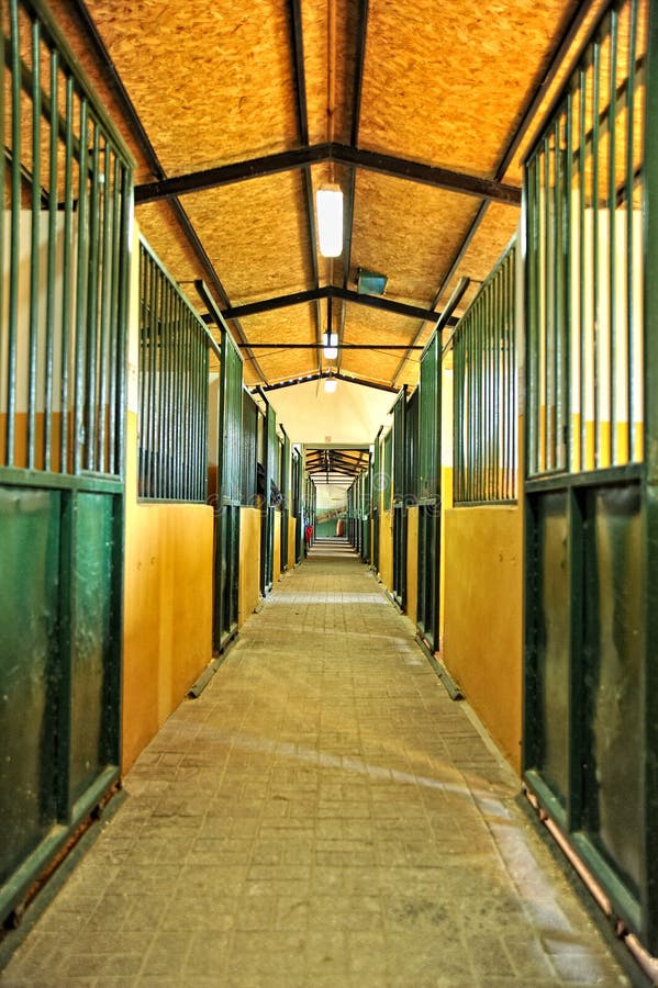 Nice clean horse stables. Good lighting and color. Nice clean horse stables. Good lighting and color