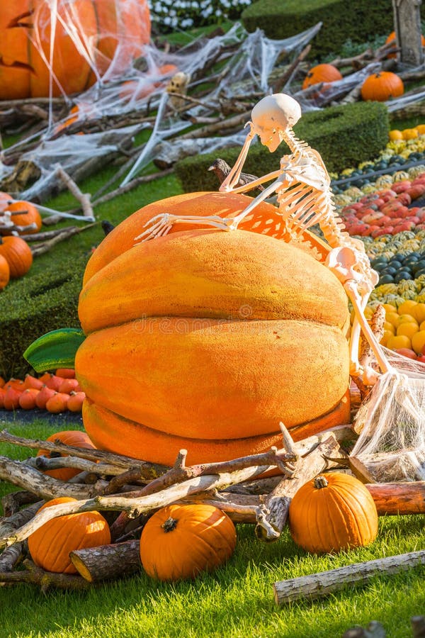 Kościec myśleć opierać przeciw Halloween bani zdjęcia stock Kościec myśleć opierać przeciw Halloween bani zdjęcia stock