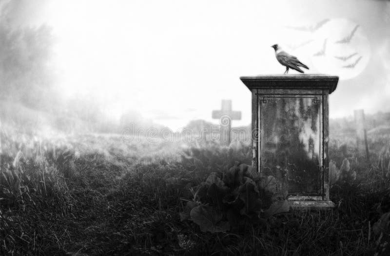 Crow sitting on a gravestone in moonlight. Crow sitting on a gravestone in moonlight