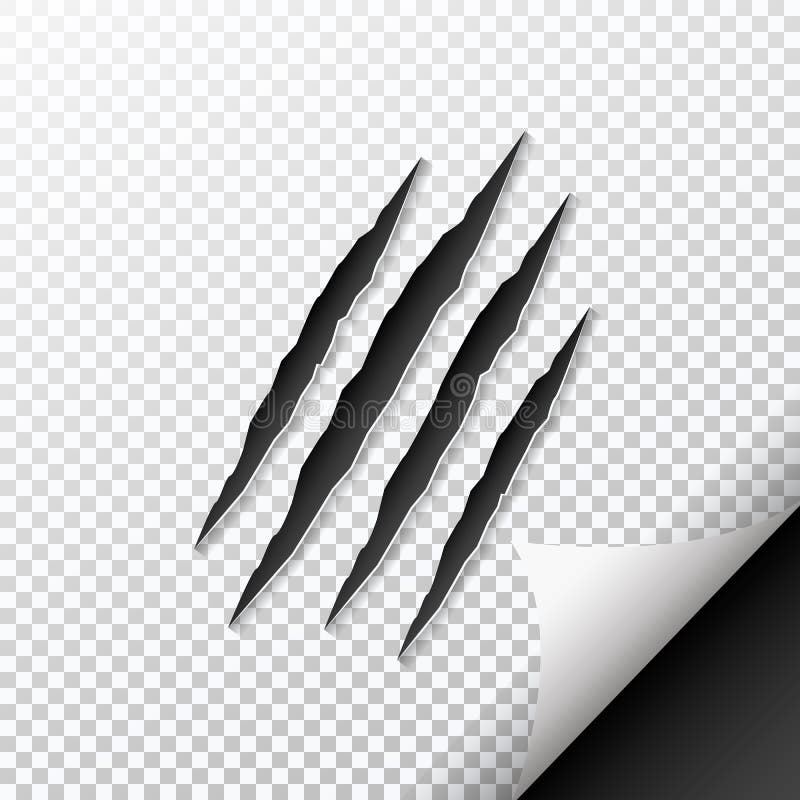 Krabt krassend dier vector illustratie Krabt krassend dier vector illustratie