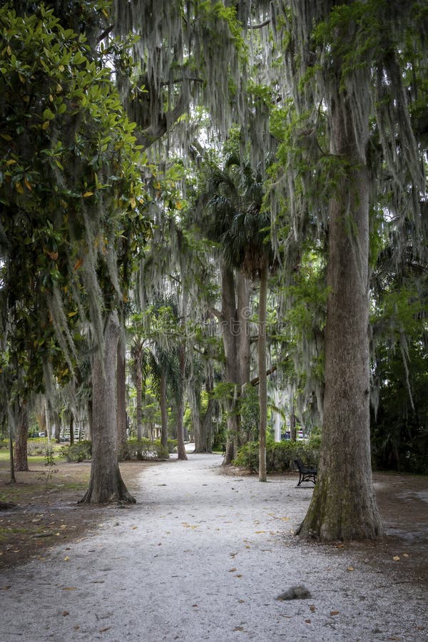 A path winds through mature trees into Kraft Azalea Gardens in Winter Park, Florida. A path winds through mature trees into Kraft Azalea Gardens in Winter Park, Florida