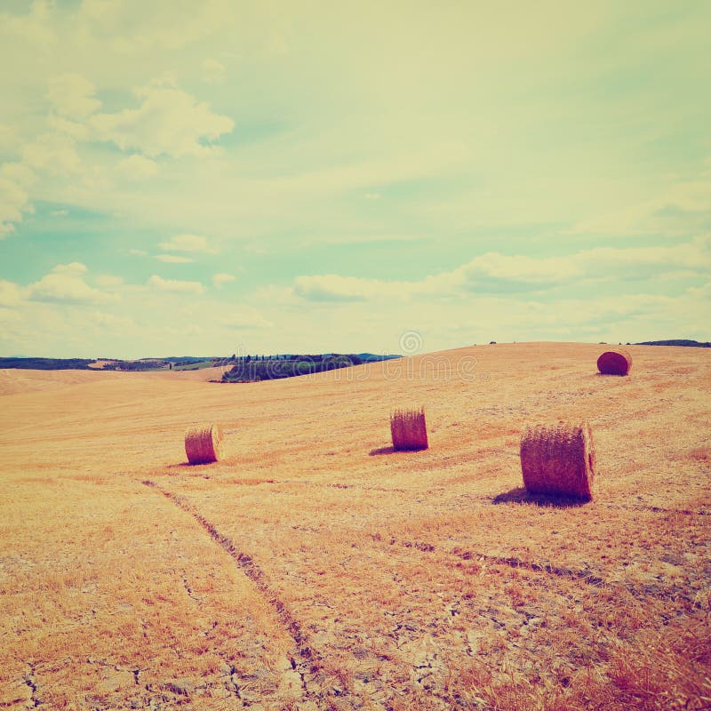 Tuscany Landscape with Hay Bales, Instagram Effect. Tuscany Landscape with Hay Bales, Instagram Effect