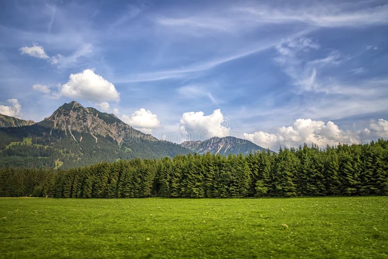 Krajobraz leśny i górski Piękno w przyrodzie fotografia stock