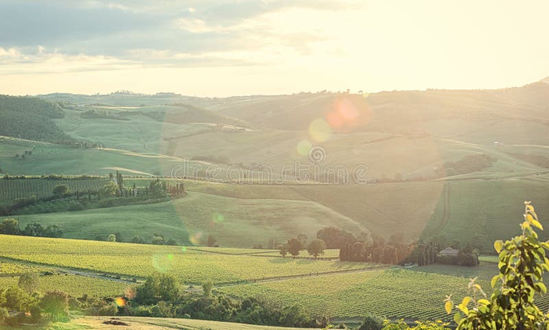 Typical landscape of Tuscany hills with lens flare. Typical landscape of Tuscany hills with lens flare